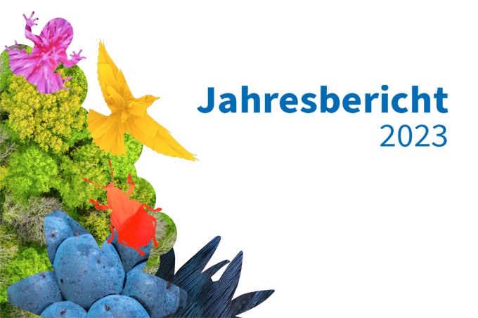 Der Jahresbericht im Überblick