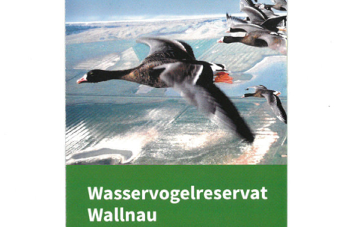 NABU Wallnau Flyer