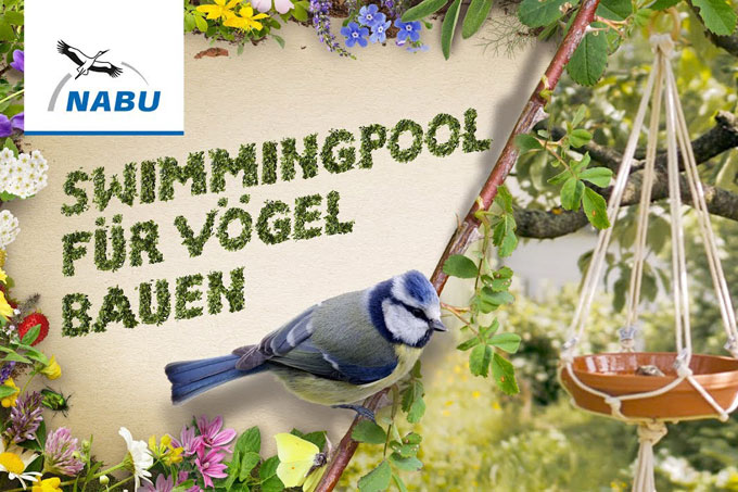 Video-Anleitung für eine Vogeltränke