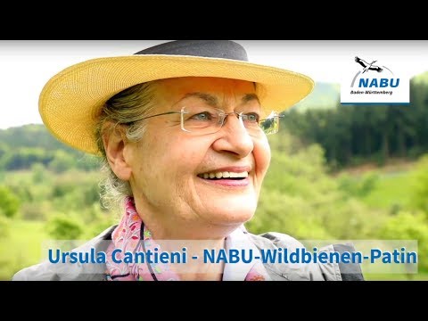 Youtube-Video abspielen Youtube-Video